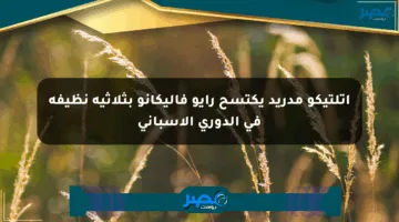أتلتيكو مدريد يكتسح رايو فاليكانو بثلاثية نظيفة في الدوري الإسباني